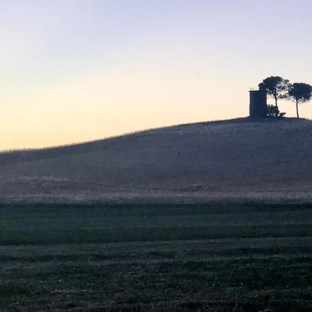 Podere Livrone Bibbona Toscana Tour Bibbona