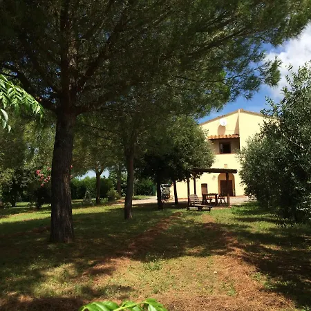 Podere Livrone Bibbona Toscana Tour Bibbona