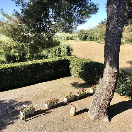 Podere Livrone Bibbona Toscana Tour Apartment Bibbona